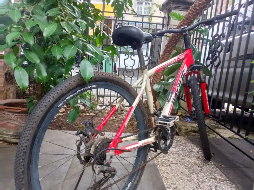 Sepeda merk Pasifik