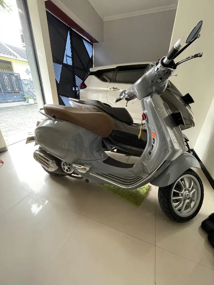 Vespa primavera iget asesoris