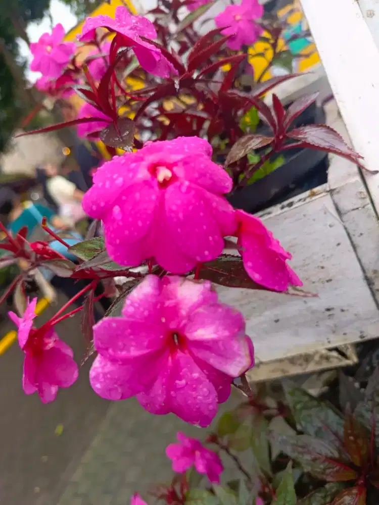 Dibutuhkan: ART + momong balita