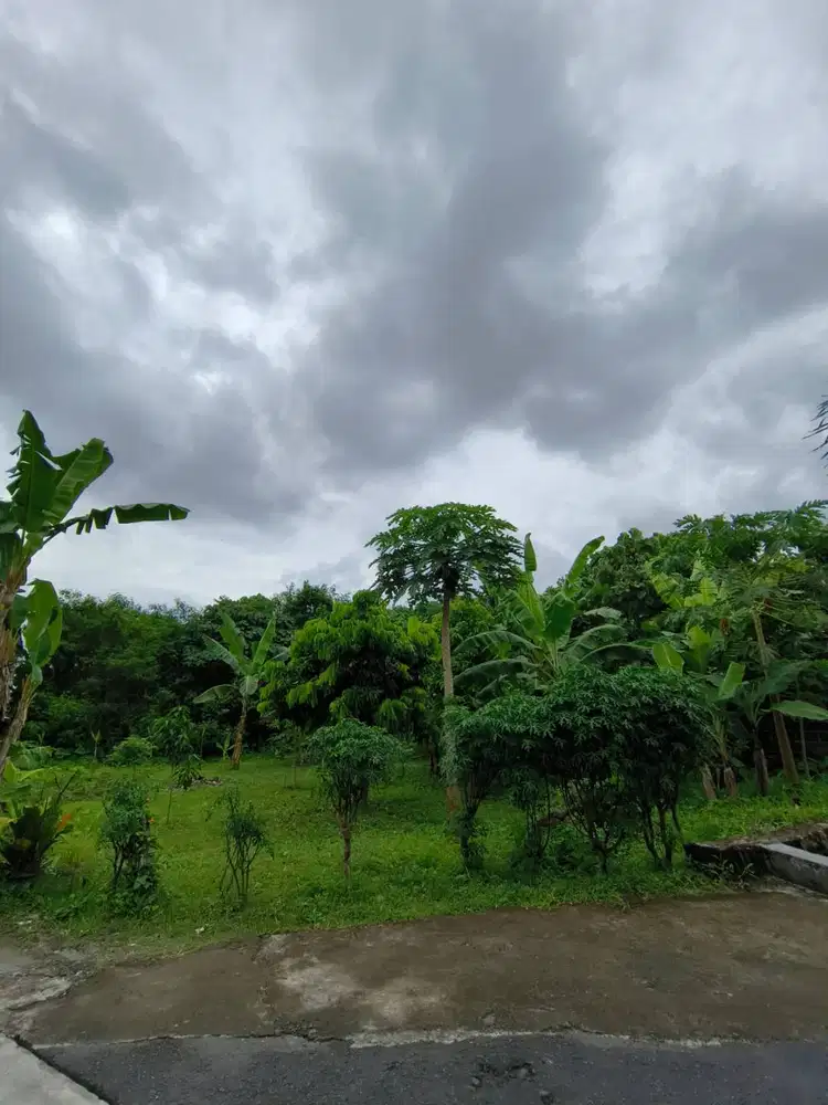 tanah luas cocok untuk kost2an atau rumah tinggal di yogyakarta