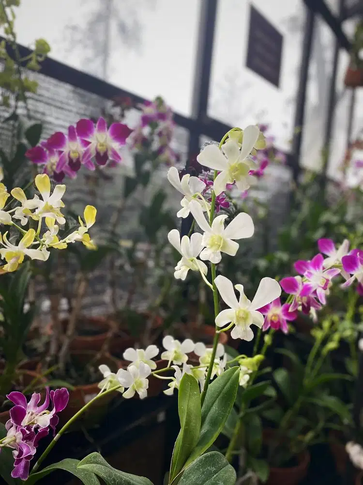 ART Momong Beberes PP Jaktim