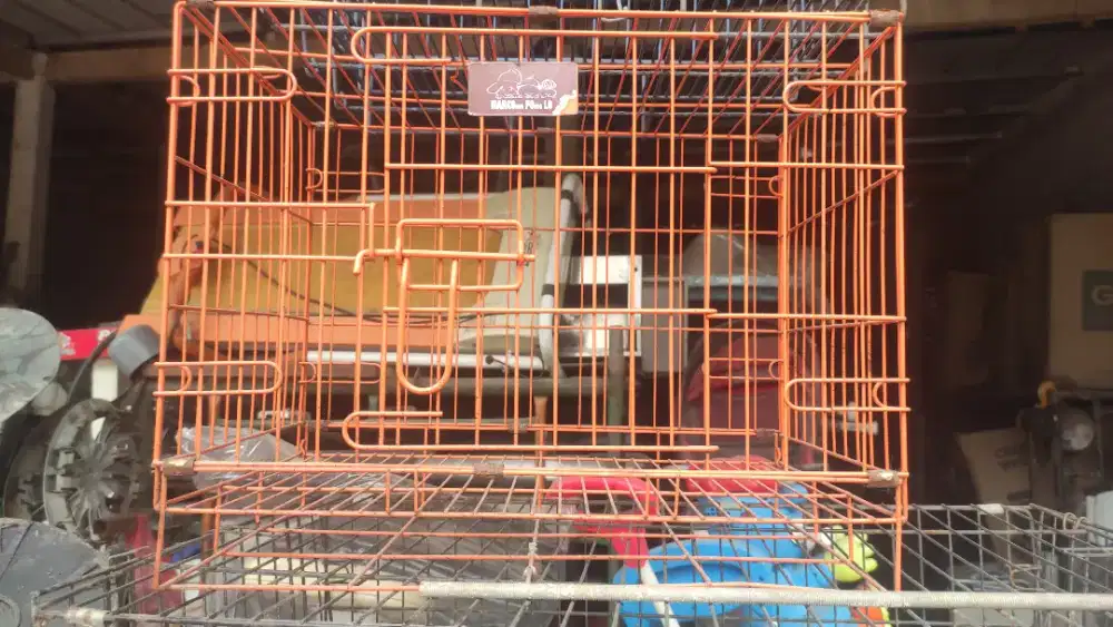 KANDANG KUCING BURUNG