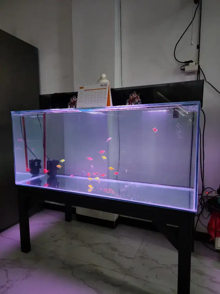 AQUARIUM KACA 120 X 50 X 50