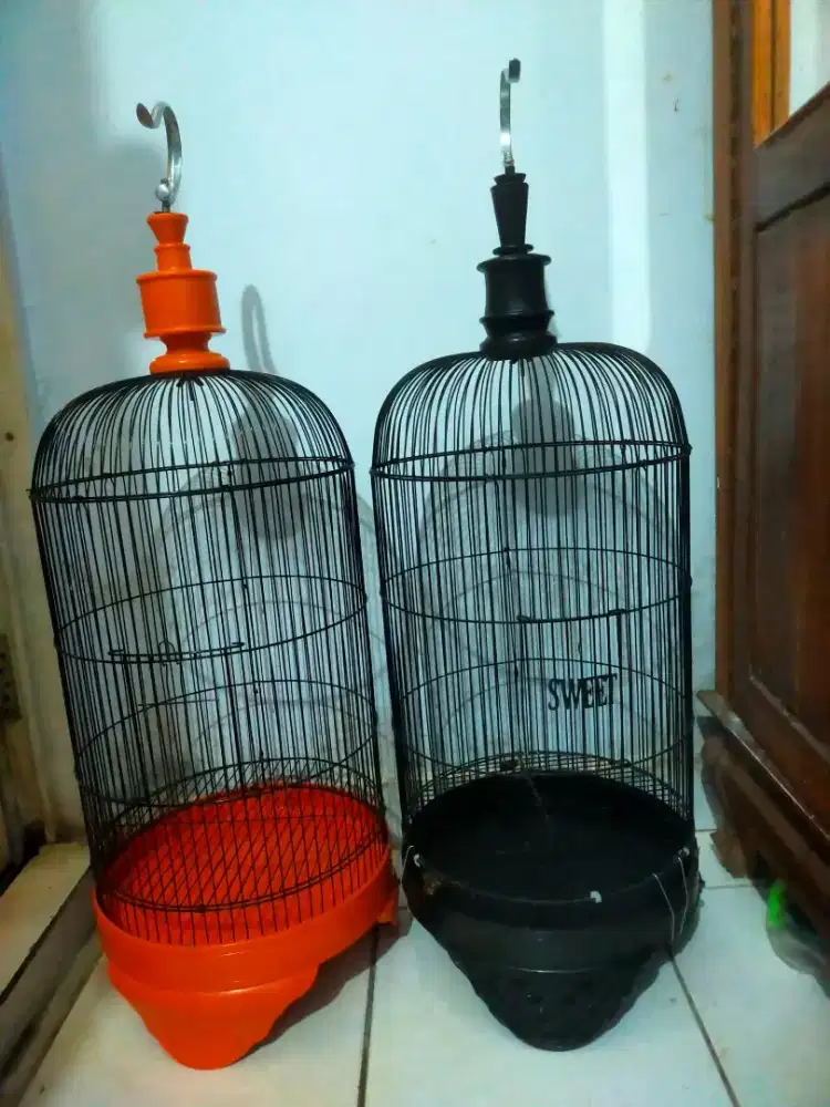 Kandang lovebird