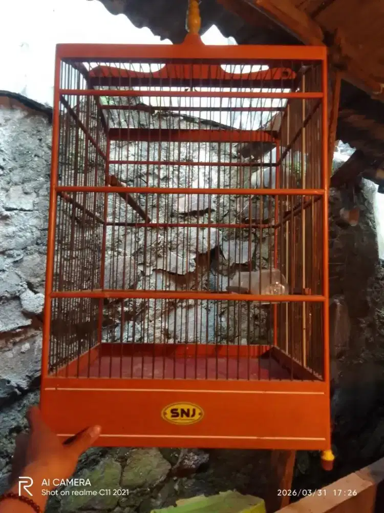 Kandang kotak nomer 2