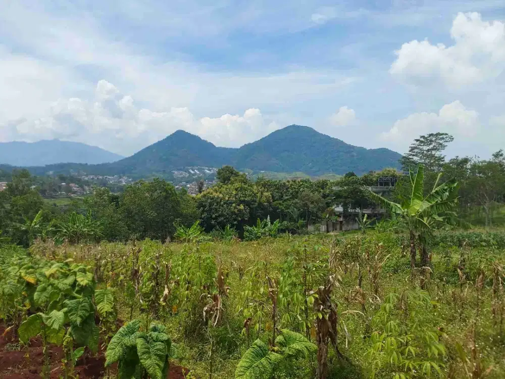Tanah Murmer Dekat UNPAD di Jatinangor