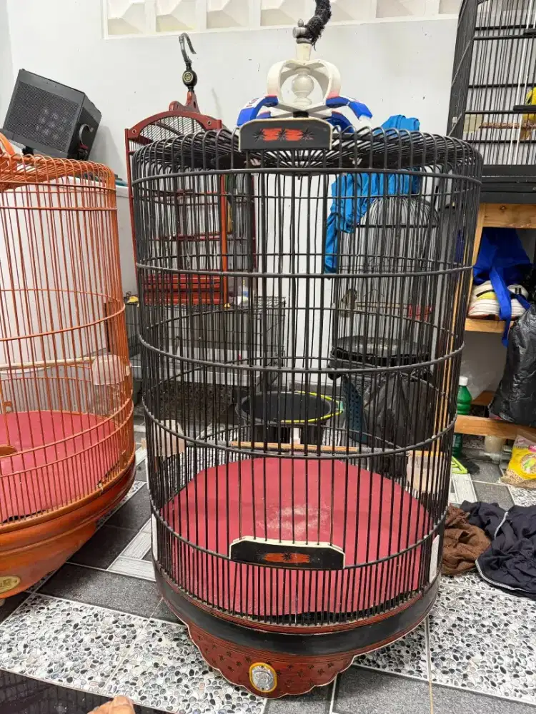 kandang murai nomer 3