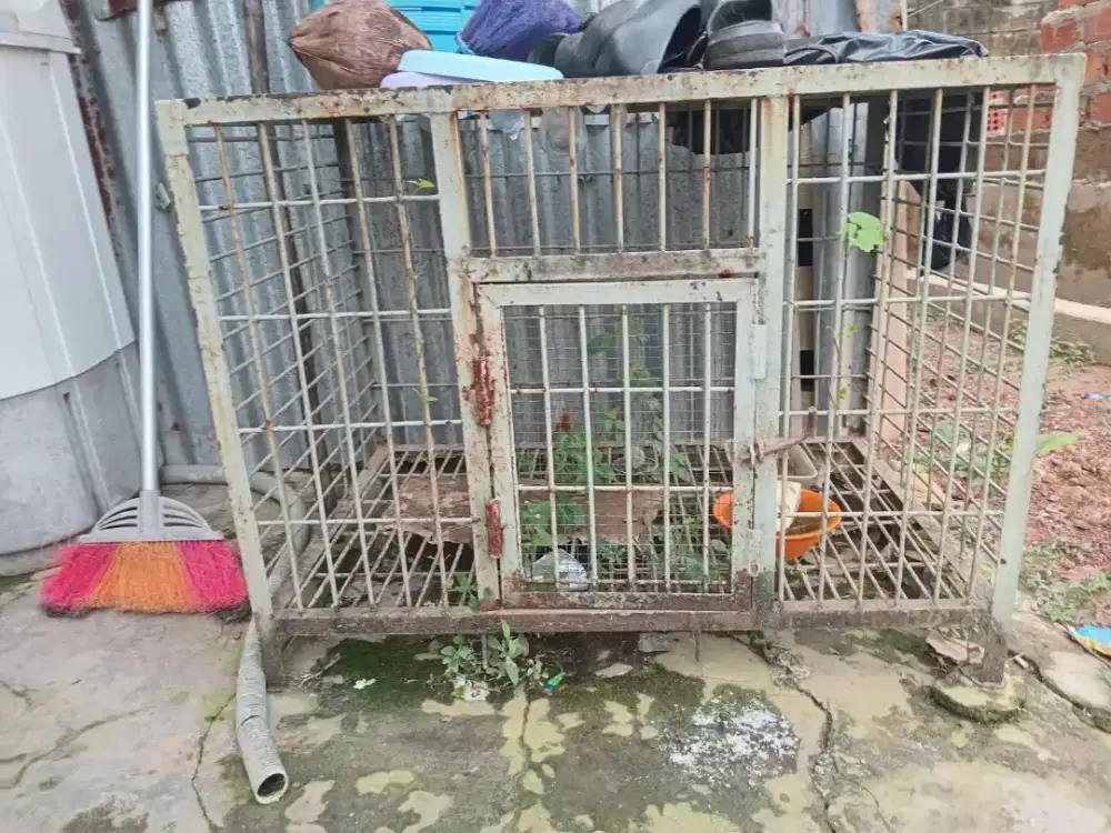 Kandang kucing bekas