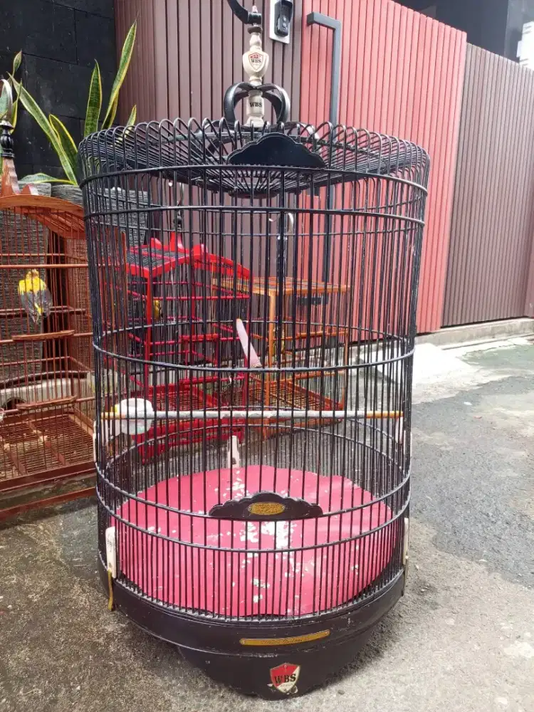 kandang murai nomer 2