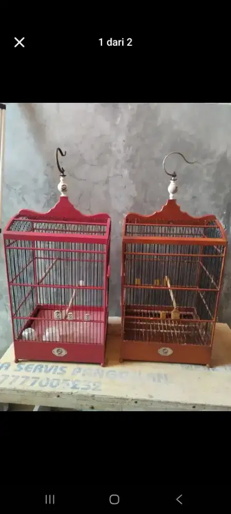 kandang kotak nomer 2