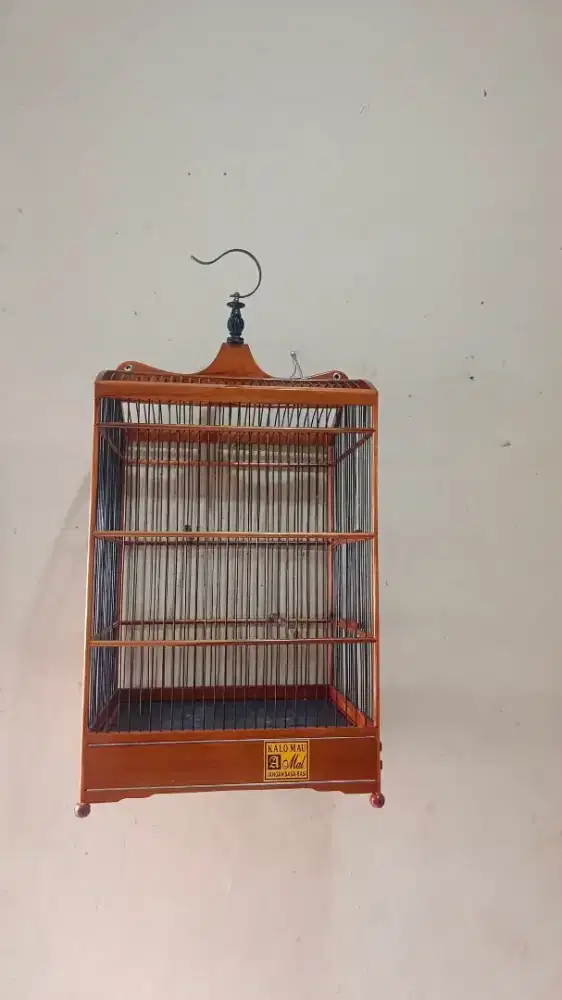 kandang kotak nomer 3