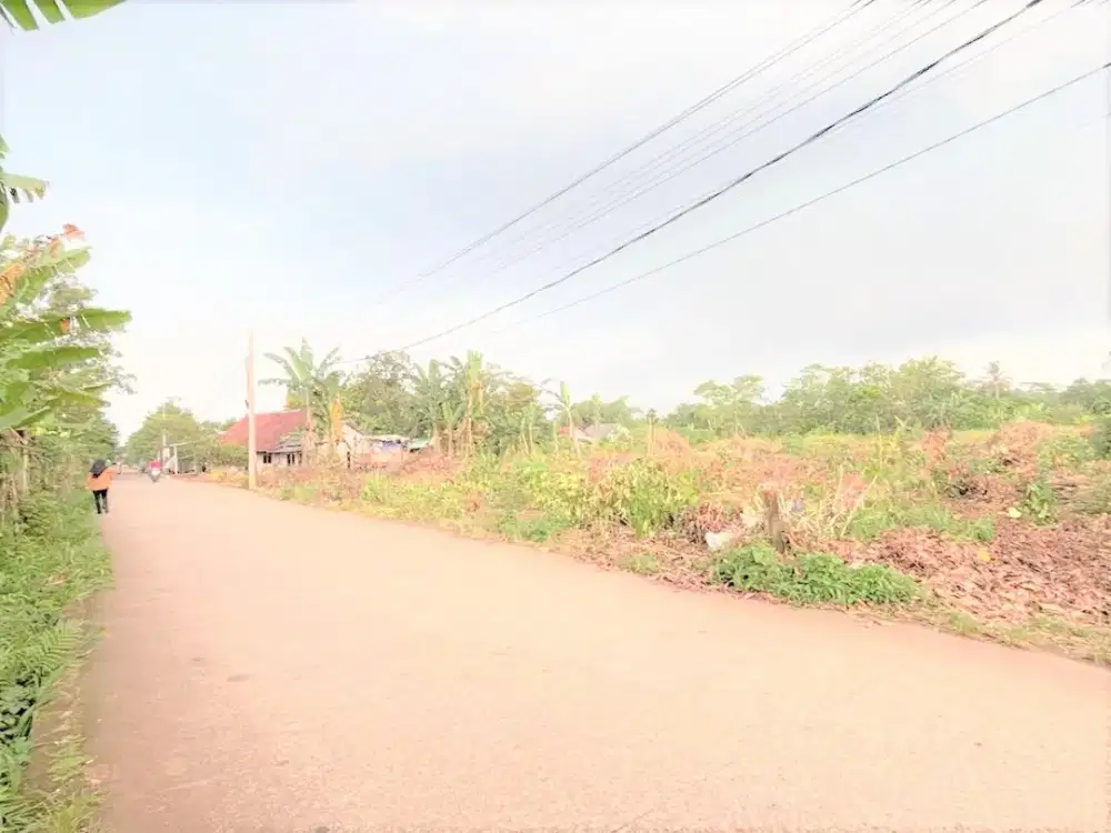 Tanah Kavling Dekat HIERA BSD, Bisa Cicil Tanpa Bunga