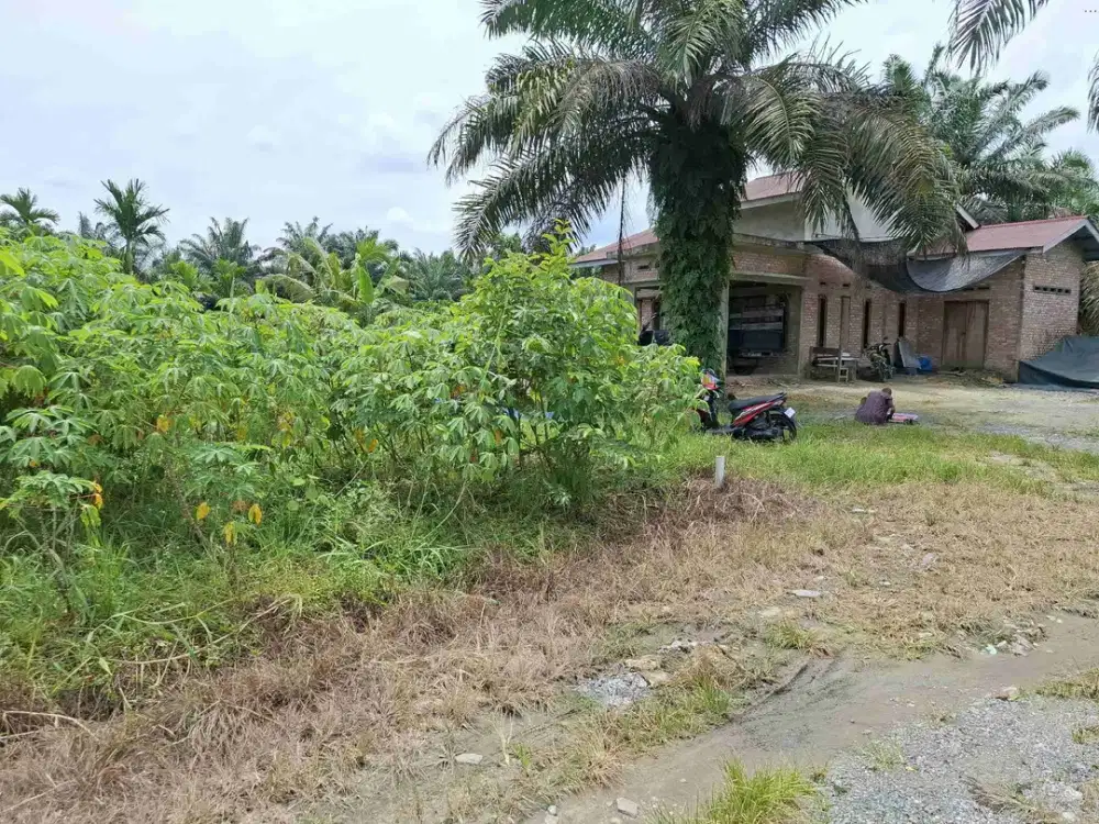 Tanah siap Bangun jl Kadiran Kulim kota Pekanbaru