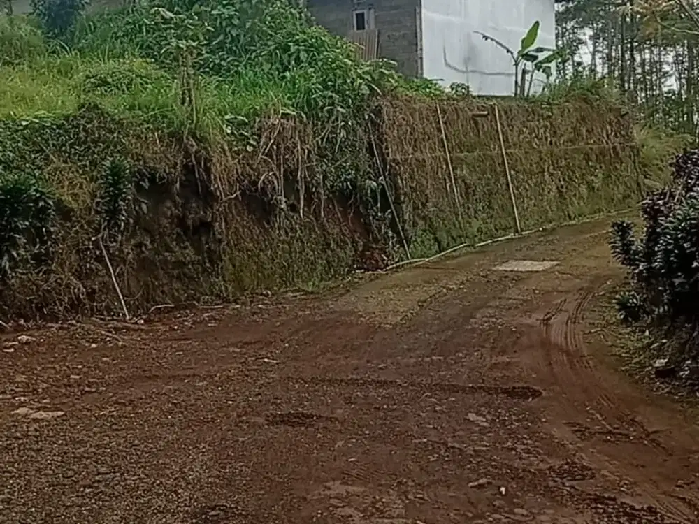 Tanah dijual murah serang purbalingga,wisata d'las purbalingga