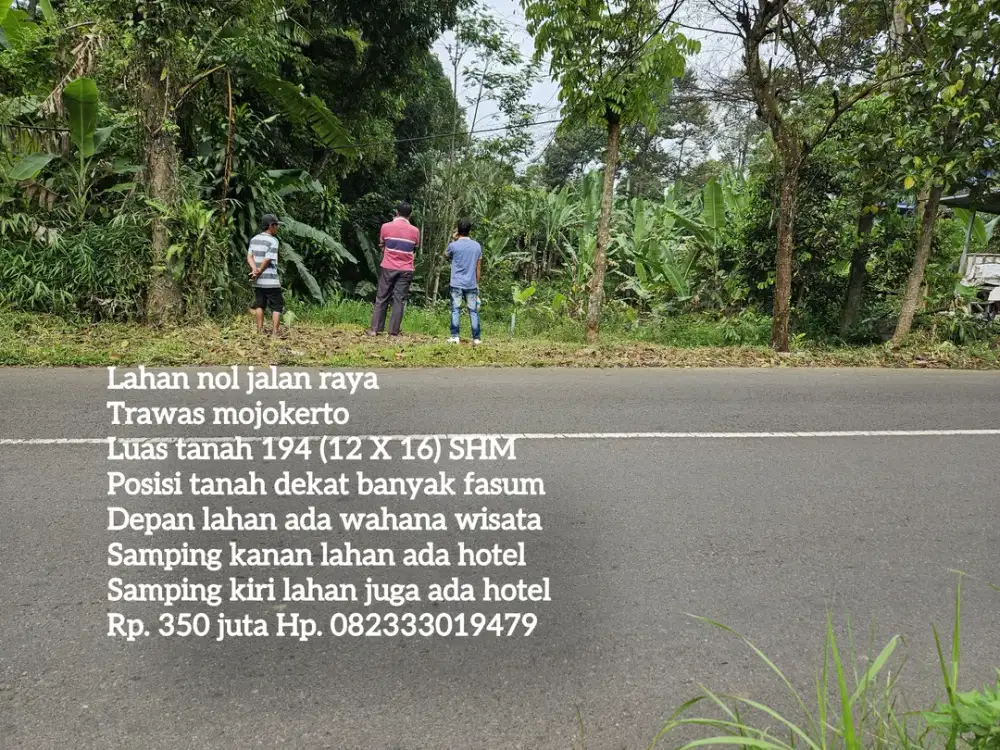Lahan nol jalan raya trawas mojokerto