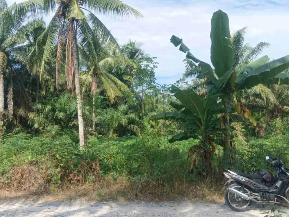 [DIJUAL] Tanah Hoek Di Pinggir Jalan ±4000 m² – Lokasi Strategis di Air Joman, Asahan