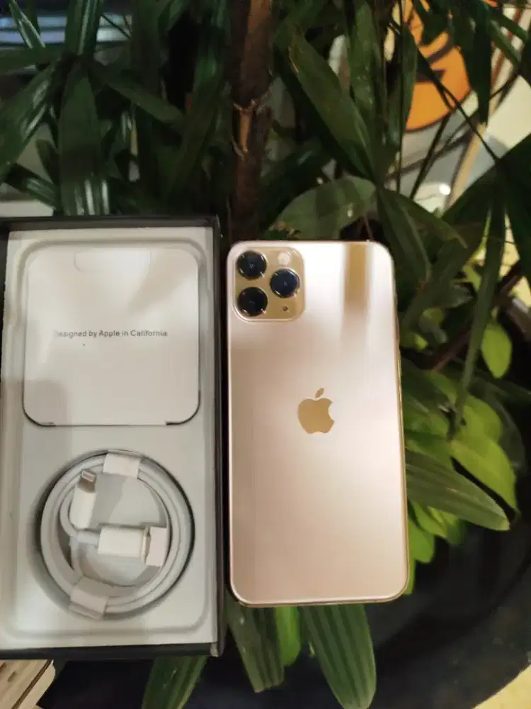 iPhone 11 pro 256gb asli begini baru