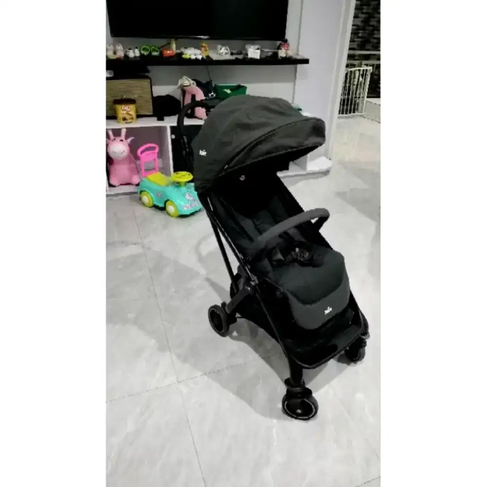 Stroller joie meet tourist