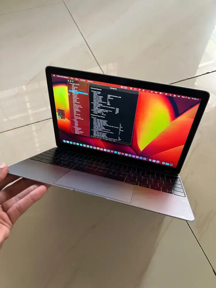 Macbook Retina 2017 - Ram 8gb - Ssd 256gb - Minus Layar