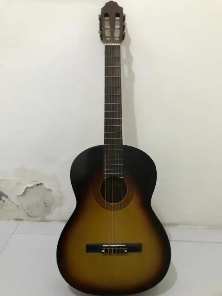 Gitar Yamaha PG 310