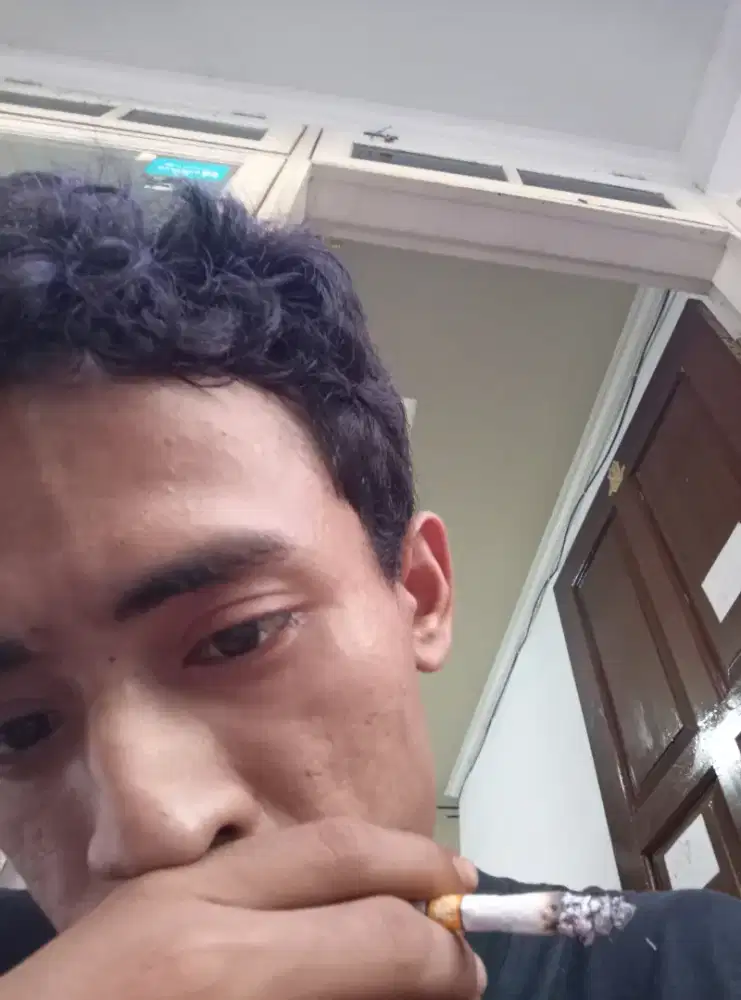 Cari freelance harian