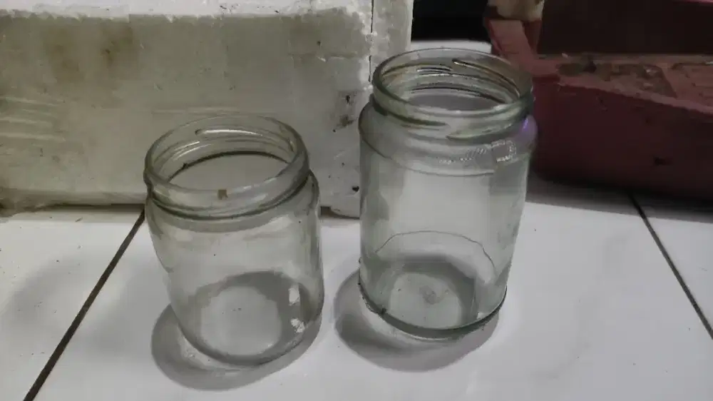 Toples ex ikan Betta/Cupang/hias