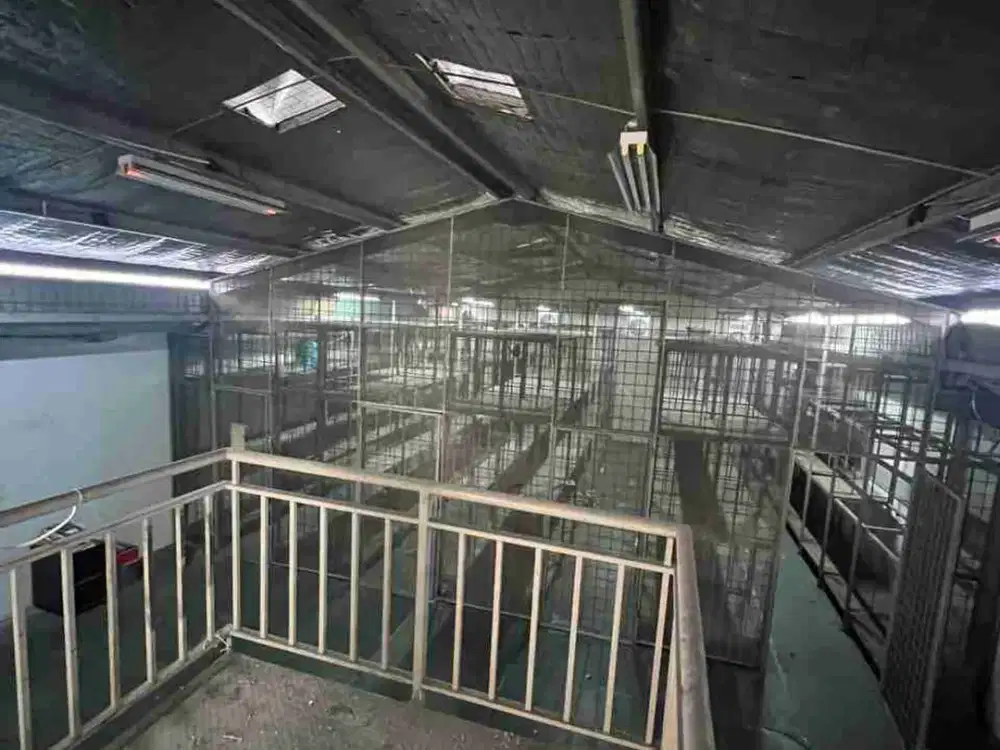 Dijual gudang & kantor kawasan elang laut pik