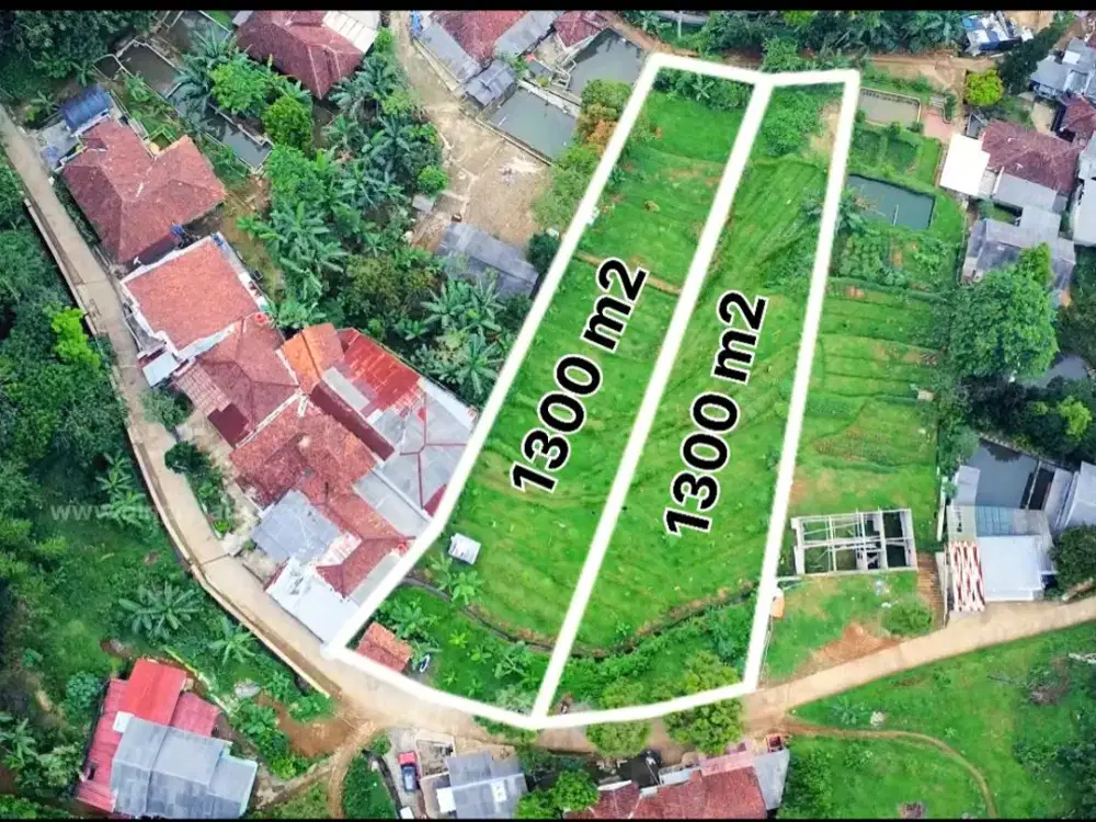 Tanah Kebun Pepaya Ada Air Mengalir Bisa Perluasan Dijual Murah