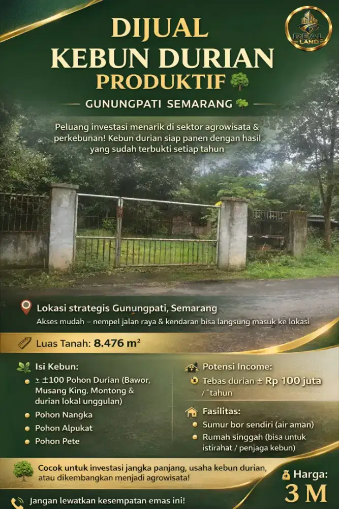 TANAH KEBUN DURIAN BUAH INVESTASI PRODUKTIF GUNUNG PATI SEMARANG