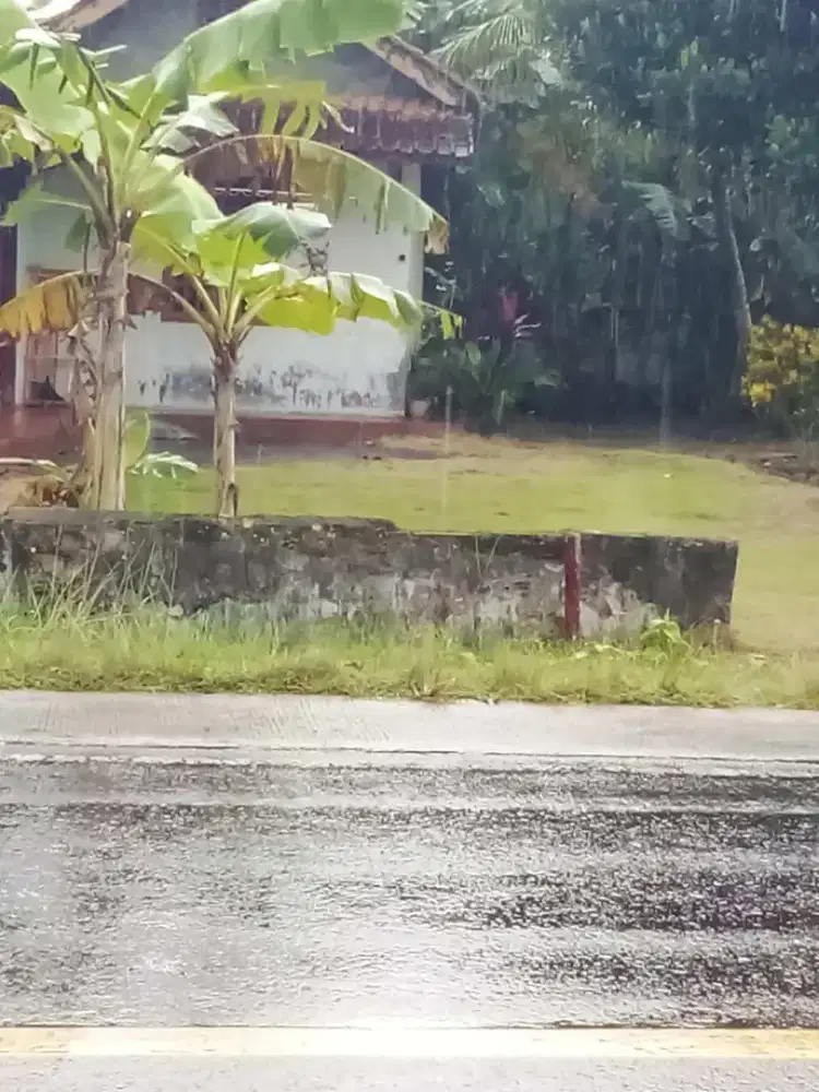 Tanah dijual murah sebrang SMP N 1 Kalipucang