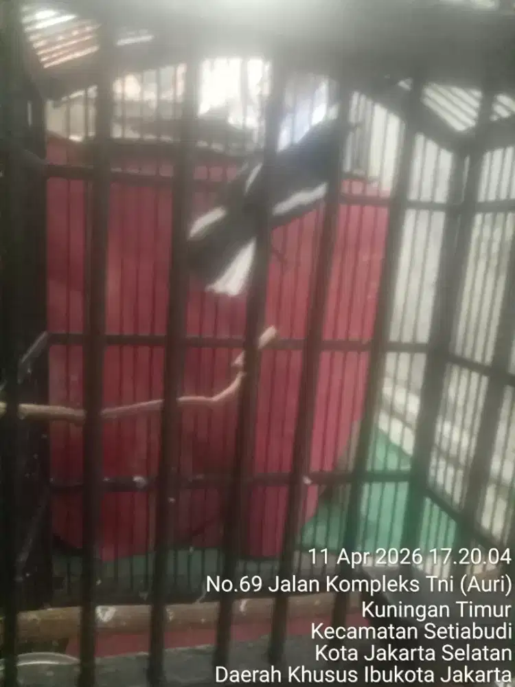 JUAL SANTAI SAMBIL NGOPI