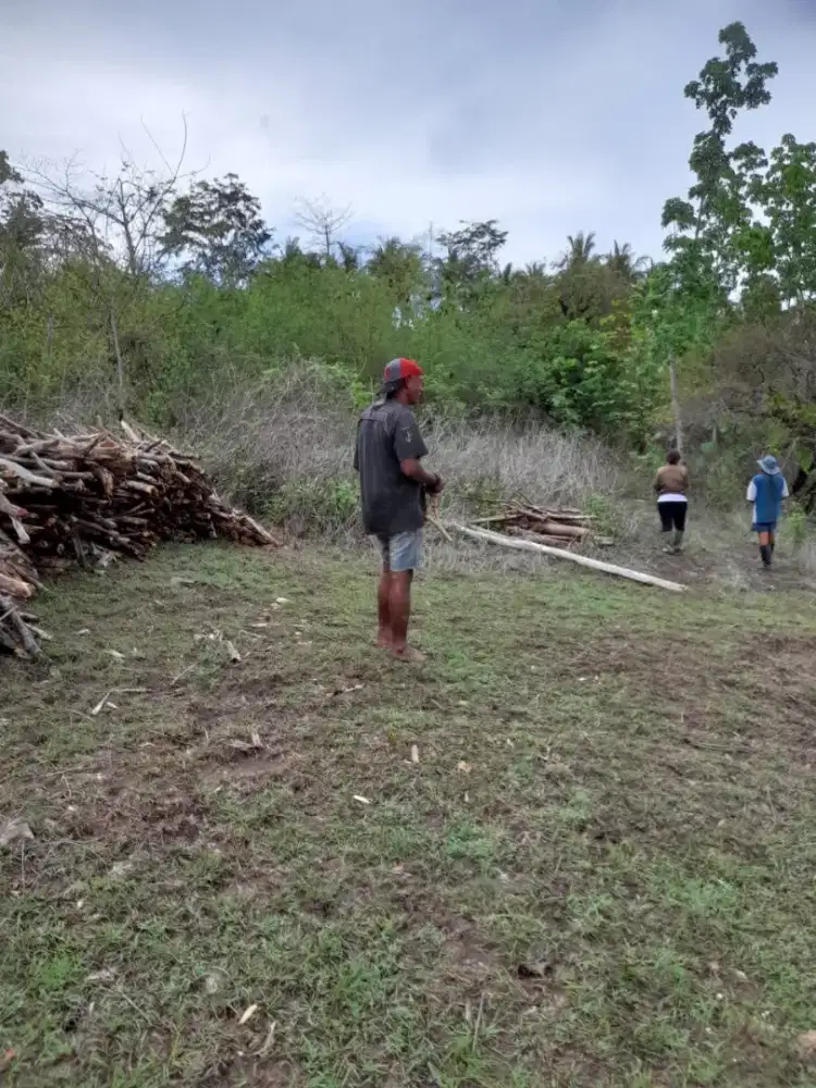 Dijual Tanah kebun di fatukoa-naioni ,kota kupang,NTT