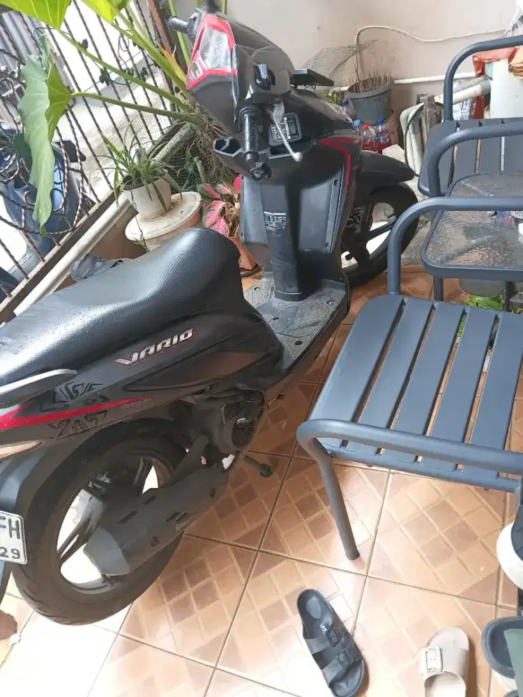 Vario Agnes 110 Stater Alus 2018