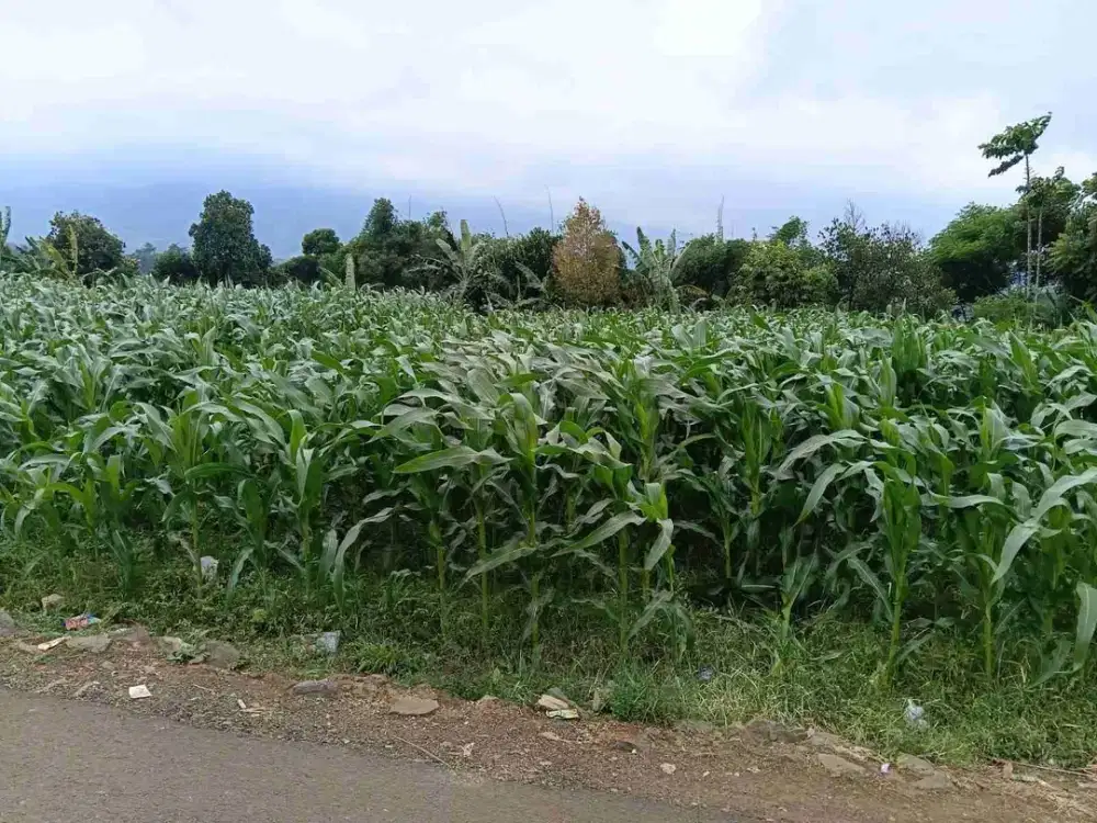 JUAL CEPAT TANAH HARGA TERJANGKAU VIEW BAGUS BANJARAN BANDUNG SELATAN