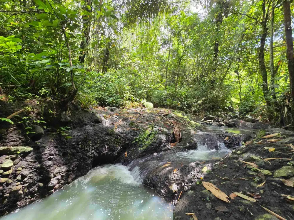 Dijual tanah murah los sungai air jernih di bali