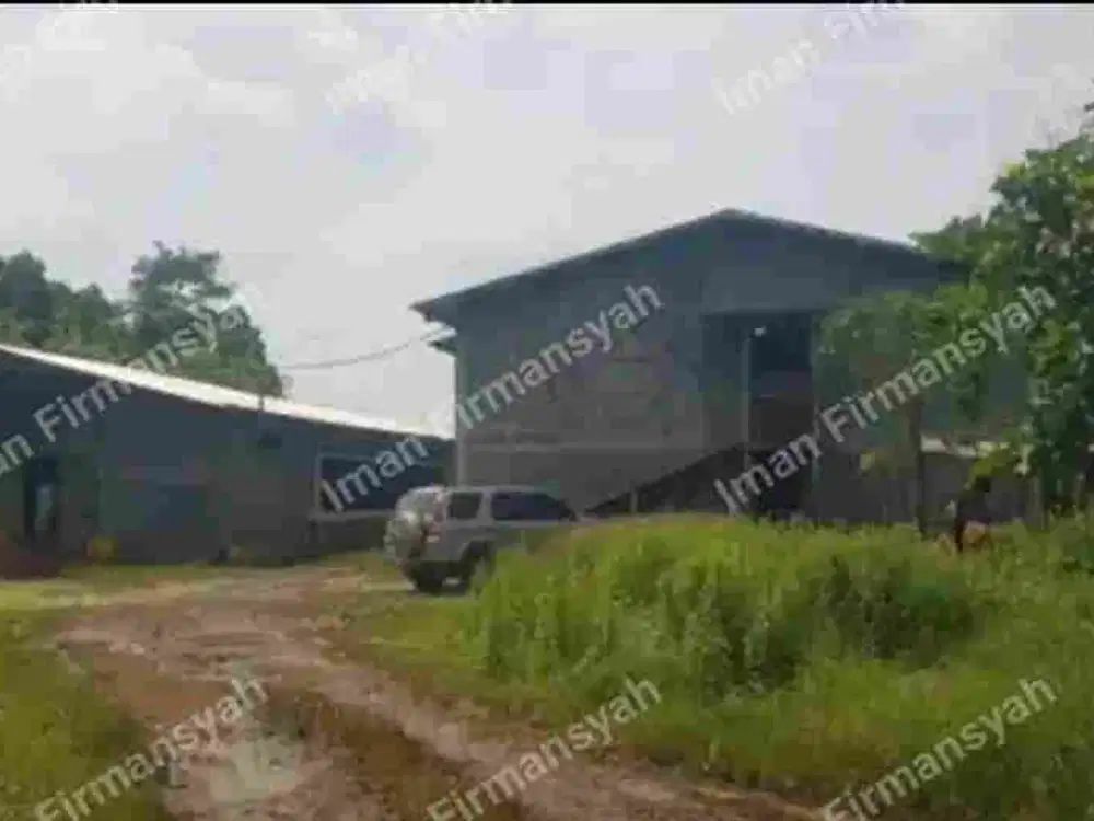 Dijual Kandang Ayam luas 30.000 m2 Subang Jawa barat