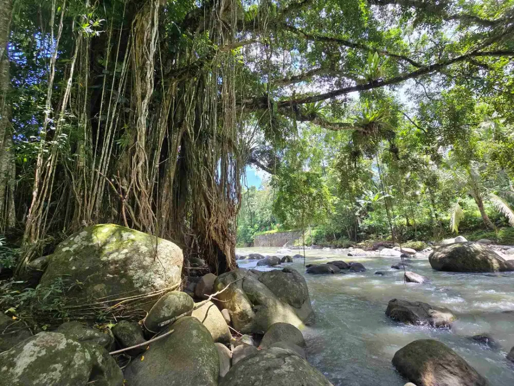Dijual tanah murah los sungai di tabanan bali