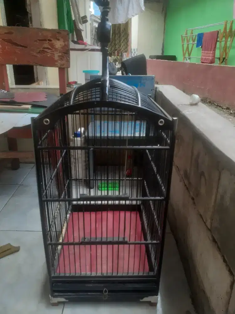 Kandang kotak no 3 ORIQ di BSD