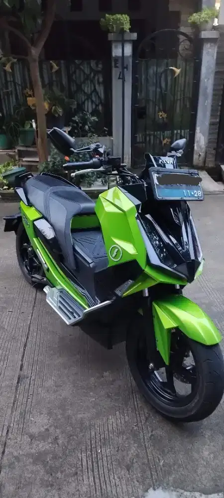 Jual Alva Cervo Nebula Green