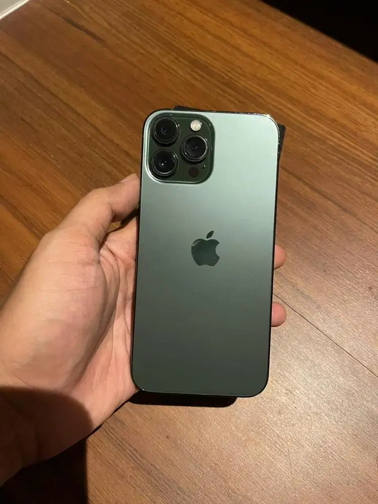iPhone 13 Pro Max 512 GB Alpine Green Resmi Bea Cukai