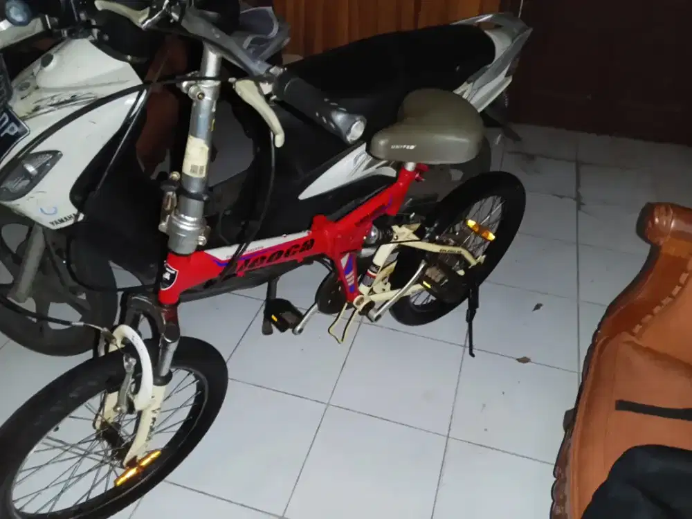 Sepeda Aleoca 20 merah