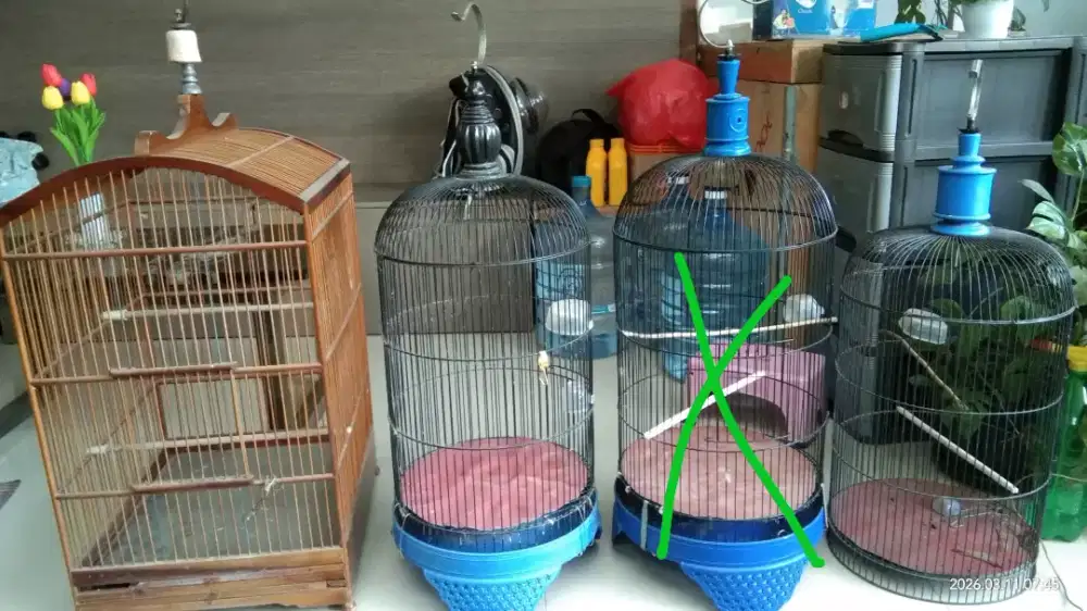 Dijual borongan,kandang burung