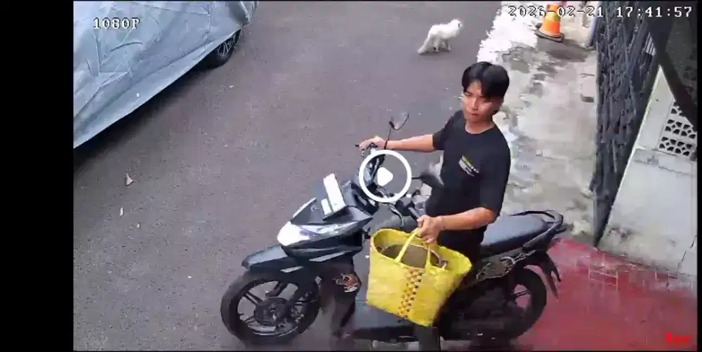 Warnas khas bkttinggi