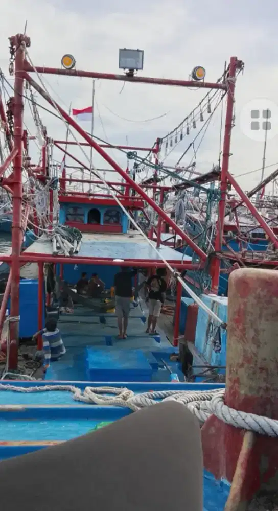 Di Butuhkan calon ABK kapal cumi