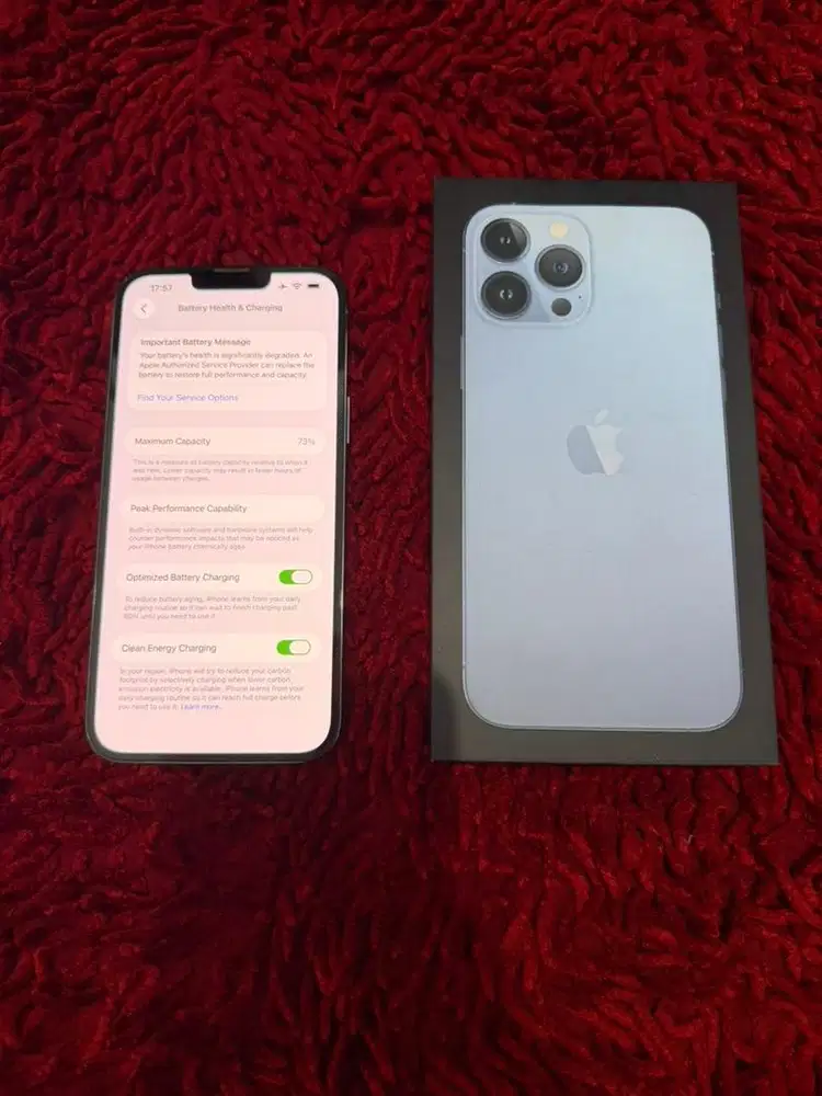 iphone 13 Pro Max 256gb