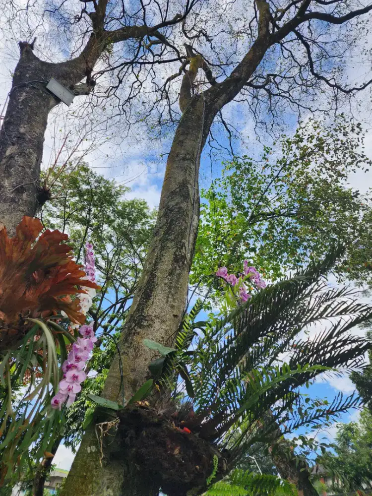 ART KEBAYORAN LAMA SELATAN