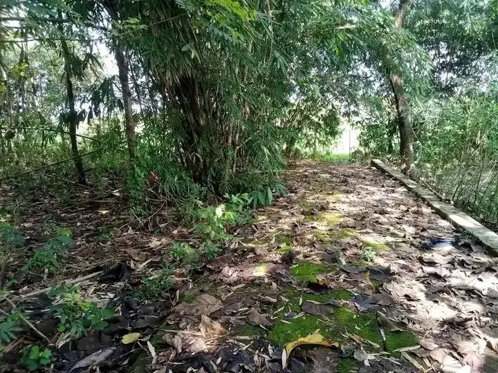 Jual tanah untuk pergudangan dekat pemakaman umum