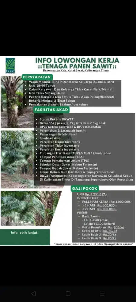 loker kebun kelapa sawit