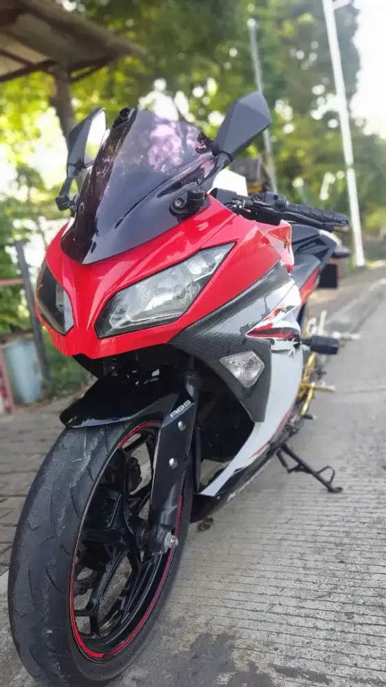 Ninja 250 Special Edition Mulus