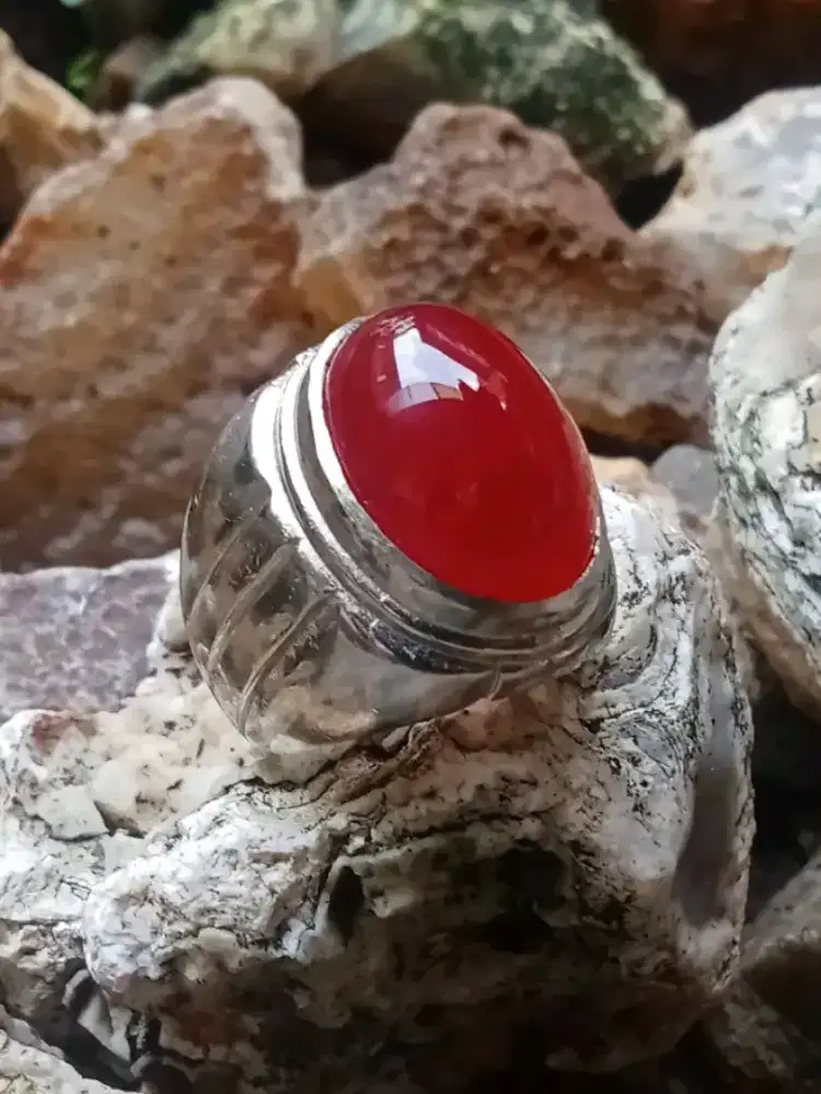 JUAL CEPAT RED BARON